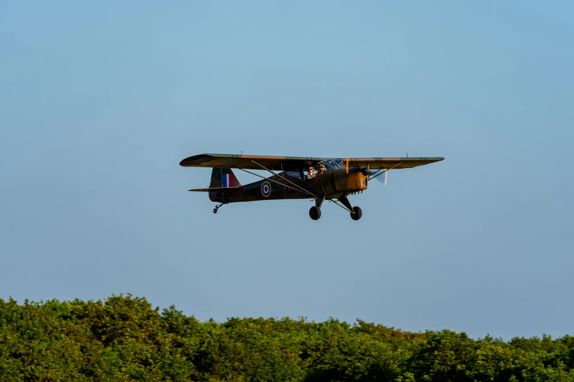A1206012LR