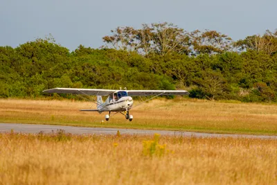 A1206819LR