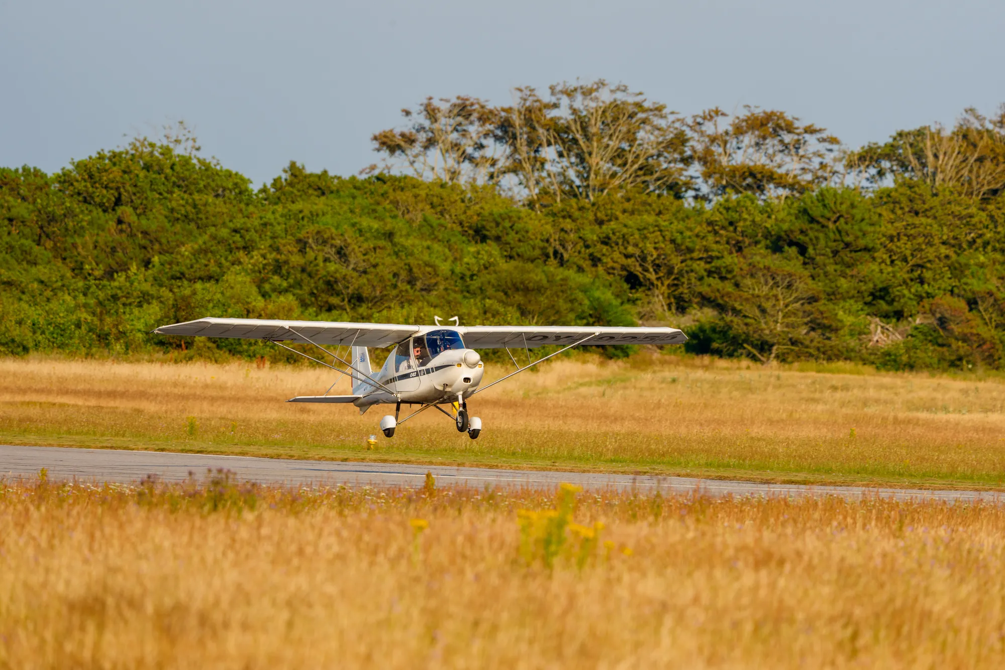 A1206819LR
