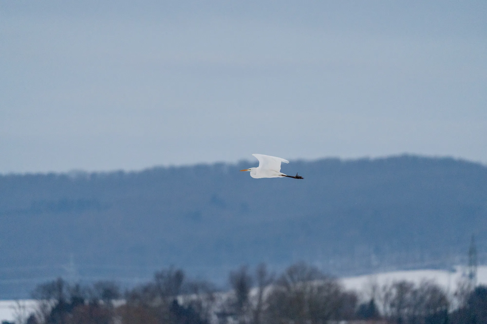 A7400020LR