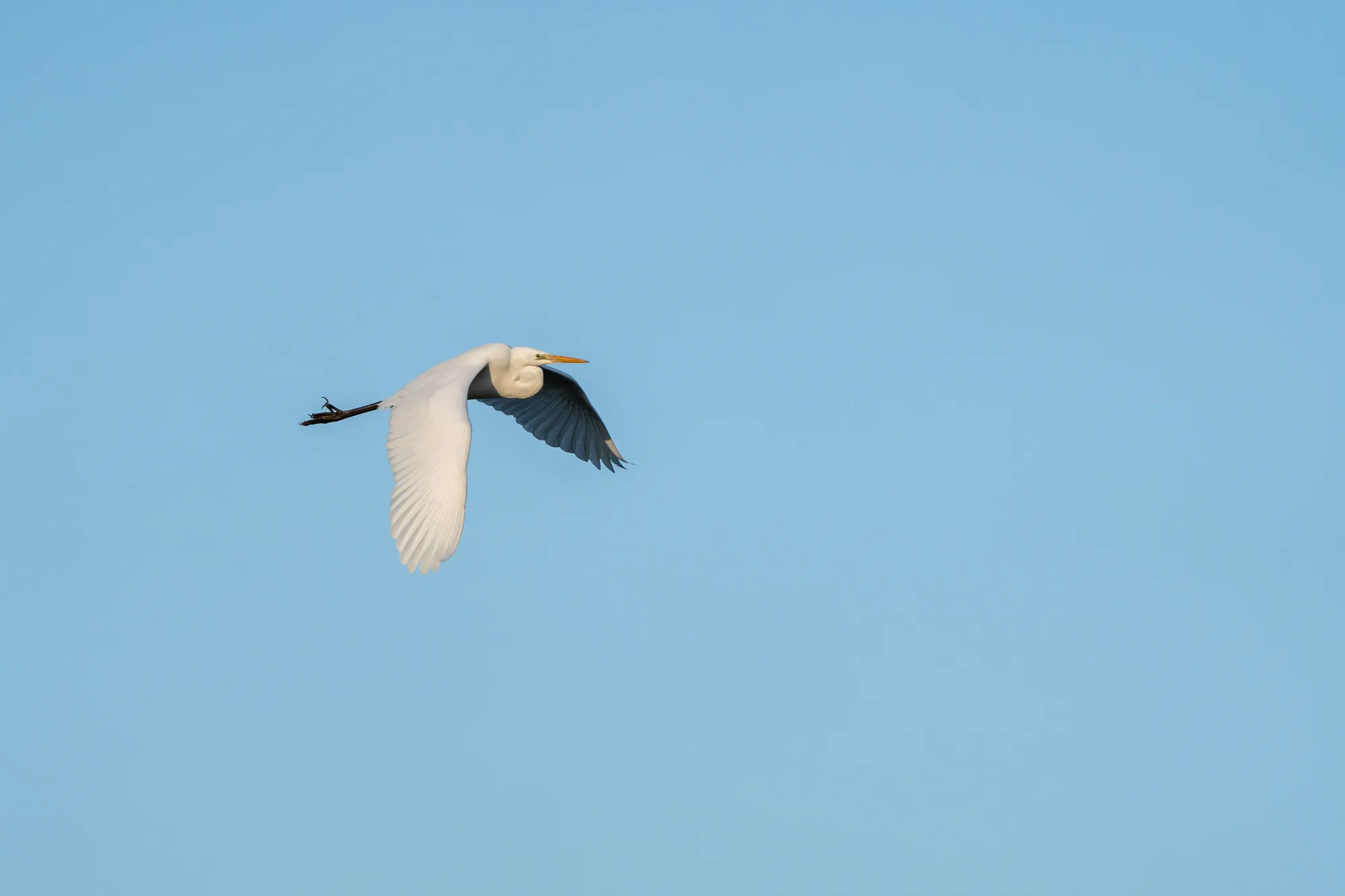 A7400215LR