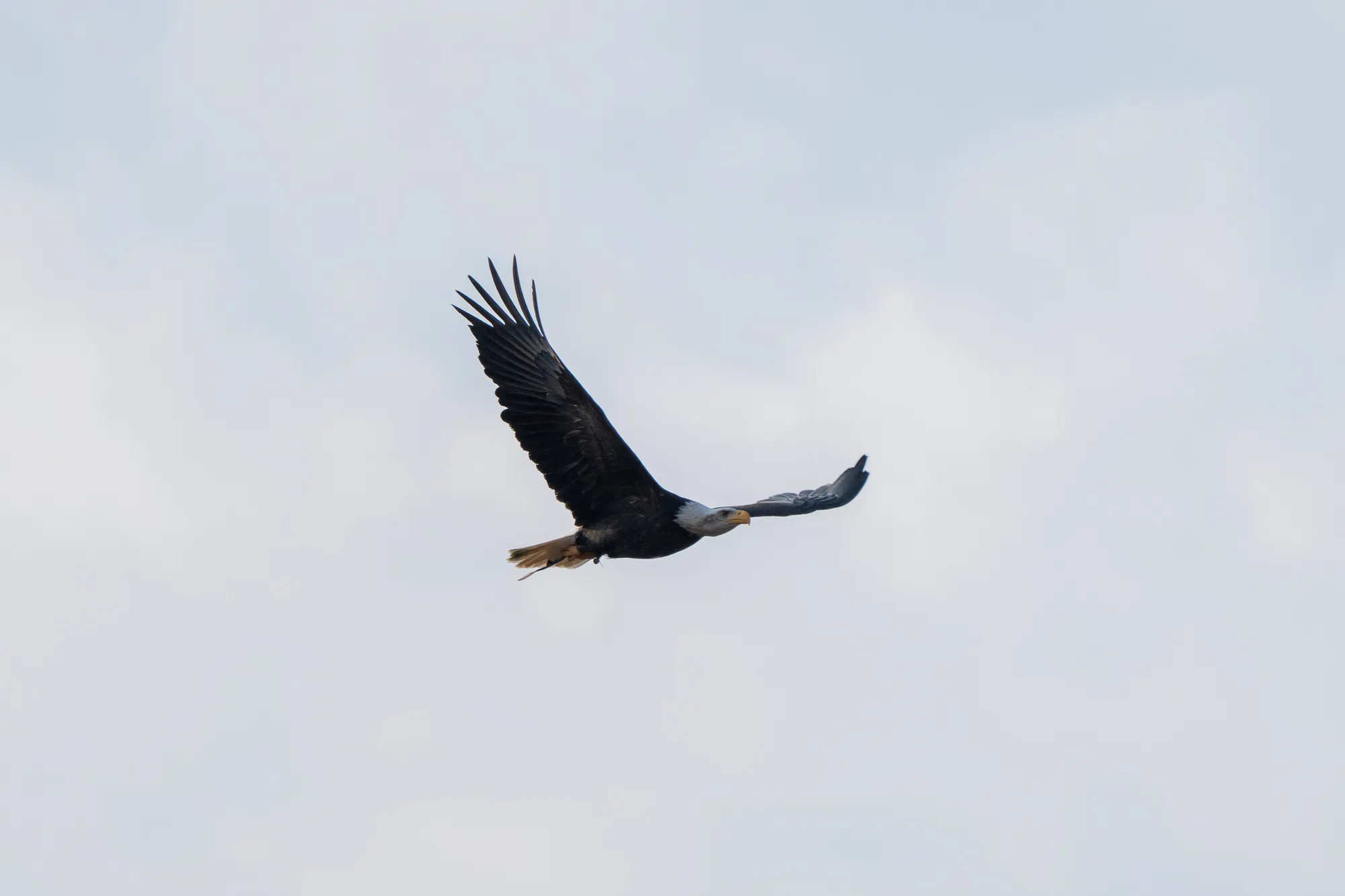 A7400280LR