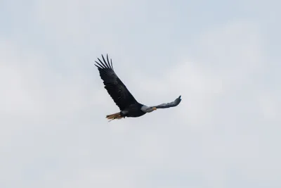 A7400280LR