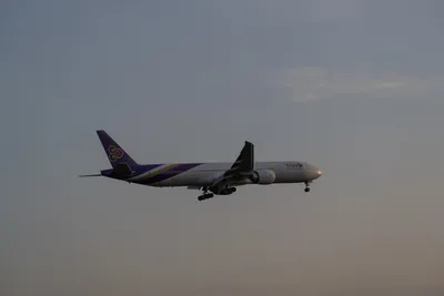 A7402908LR