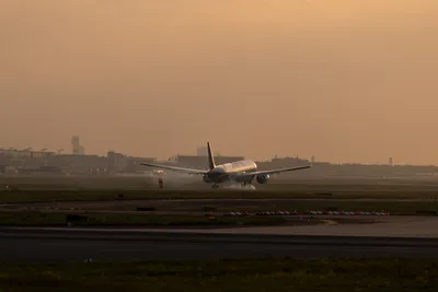 A7402915LR