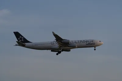 A7402919LR