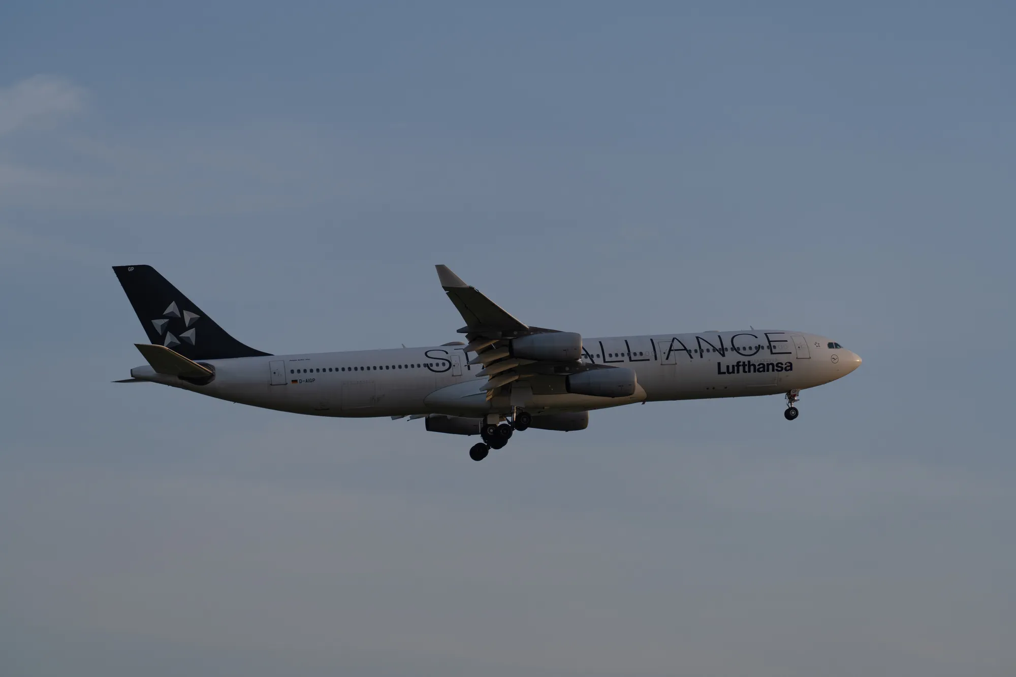 A7402919LR