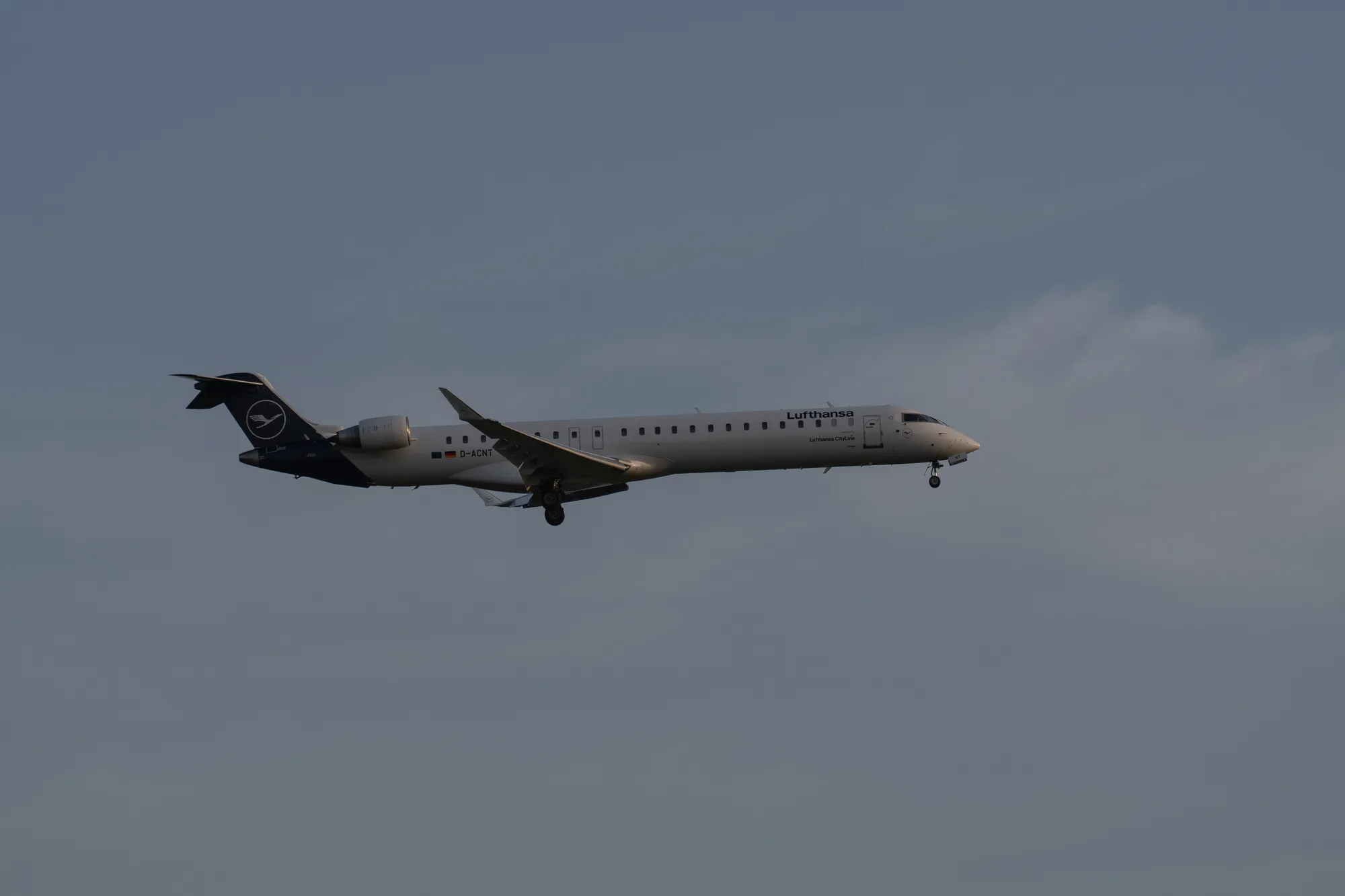 A7402949LR