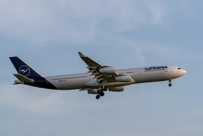 A7402974LR