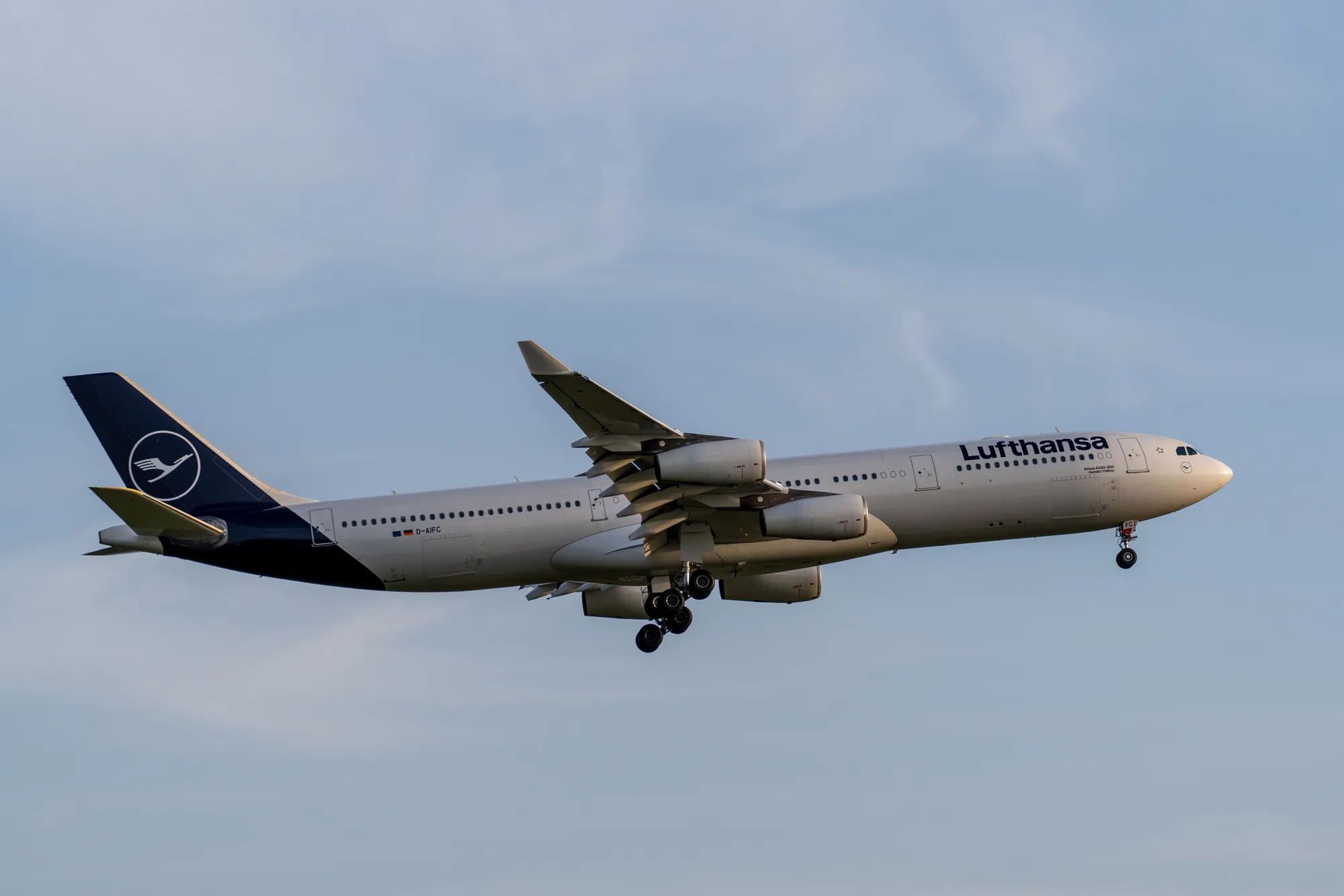 A7402974LR