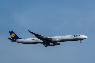 A7403365LR