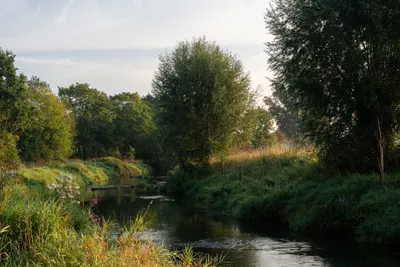 A7406026LR