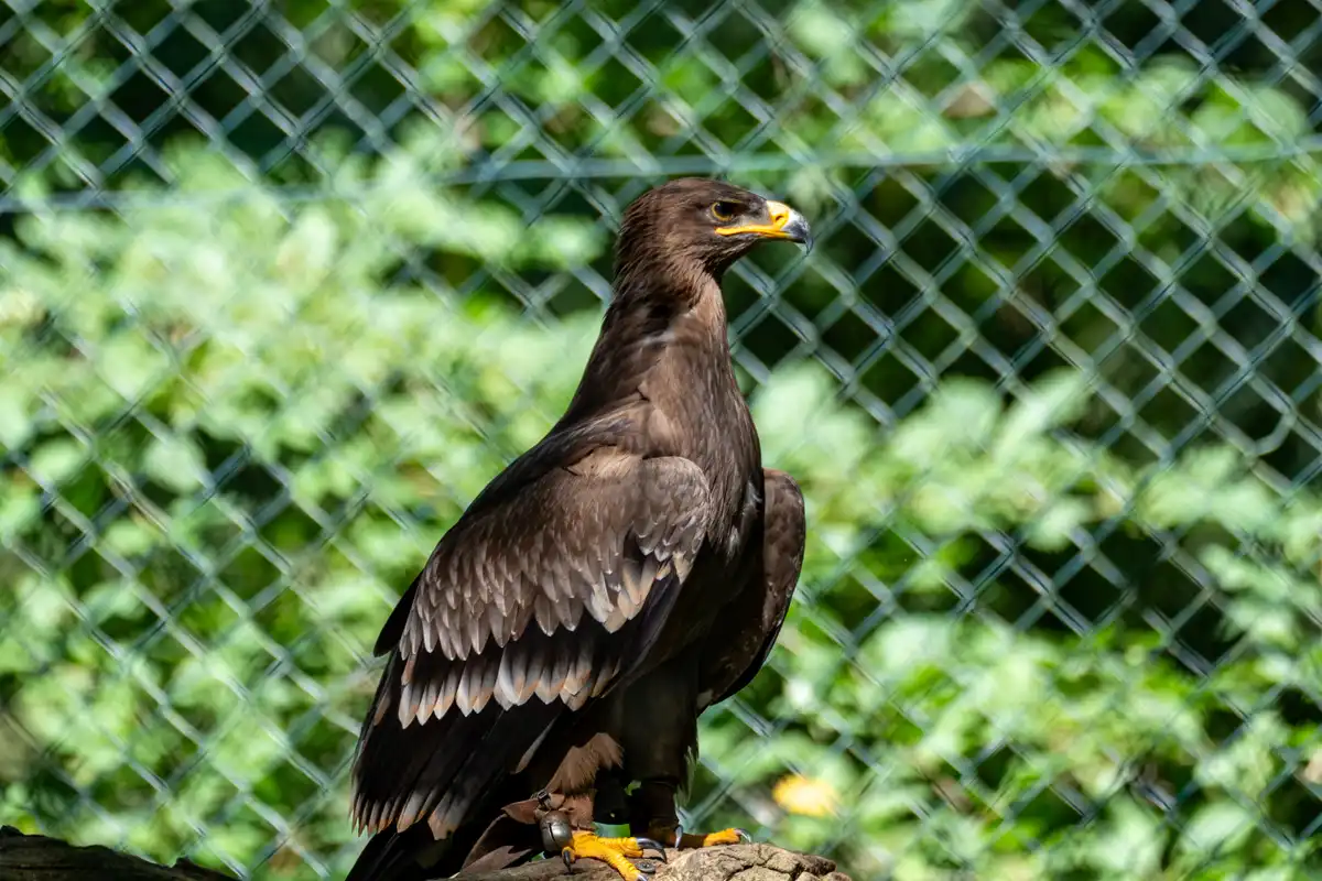 A7406092LR