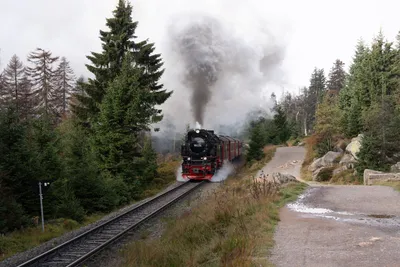 A7408299LR