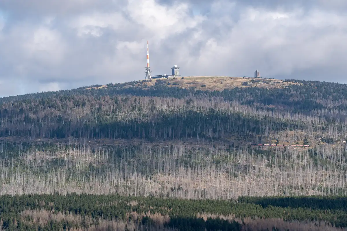 A7408343LR